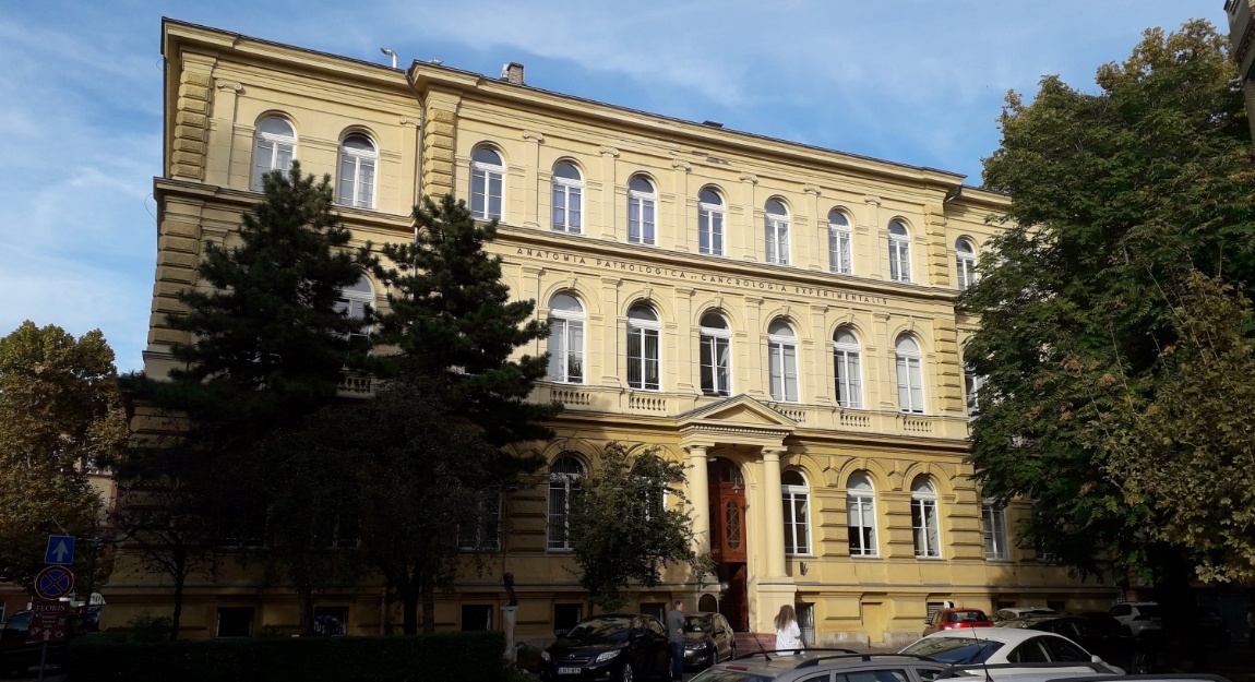 Outside view of dental school building