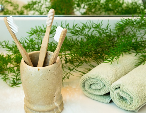 Toothbrushes in holder